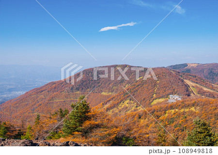 高峰高原の紅葉 高峰高原の紅葉 108949818