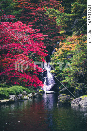 栃木県鹿沼市 紅葉名所 古峯園 108951081