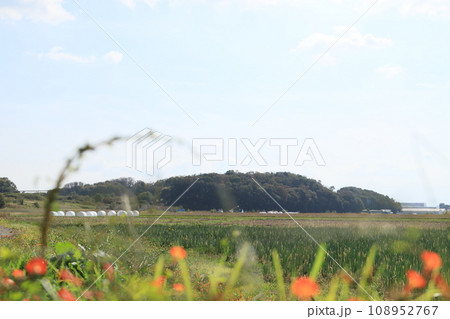多田山 108952767