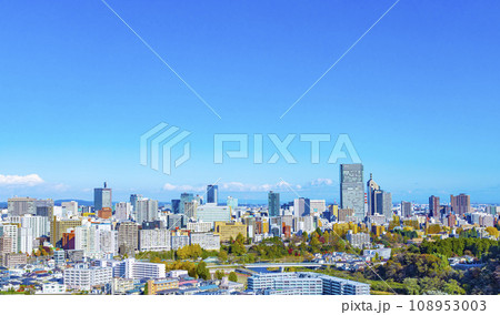仙台市全景 青葉城祉より仙台市全景の写真素材 [108953003] - PIXTA