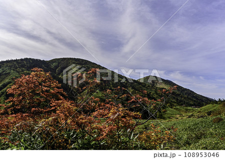 白山の秋景色 108953046