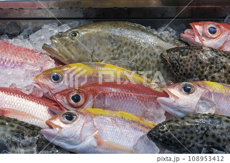 沖縄の魚市場に並ぶ色鮮やかな魚 108953412