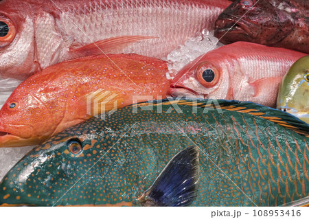 沖縄の魚市場に並ぶ色鮮やかな魚 沖縄の魚市場に並ぶ色鮮やかな魚 108953416