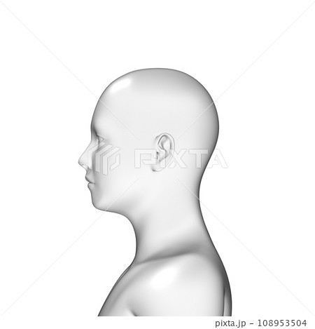 男性の頭部, 人体, 3Dモデル 108953504
