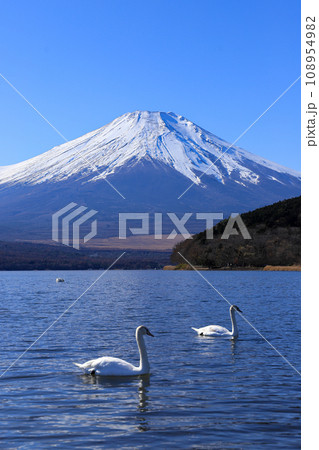 山中湖からの富士山 山中湖からの富士山 108954982