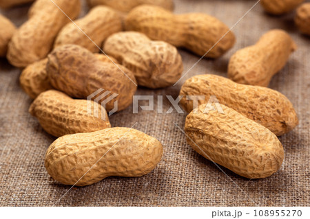 raw peanuts in shell on burlap closeup. Food background of peanuts 108955270