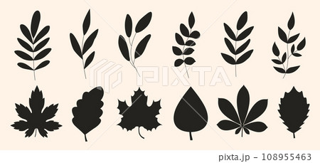 Set of black silhouettes of leaves and tree branch. Botanical icons. Vector illustration. 108955463
