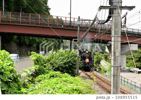 東武鬼怒川線 SL大樹 108955515