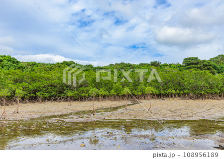 名蔵アンパル（石垣島）　西表石垣国立公園　ラムサール条約登録地 108956189