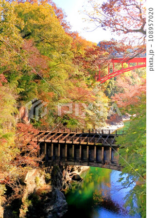 山梨県大月市 紅葉に染まる甲斐の猿橋 山梨県大月市 紅葉に染まる甲斐の猿橋 108957020