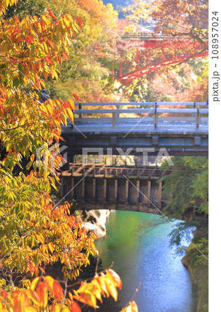 山梨県大月市　紅葉に染まる甲斐の猿橋 108957024