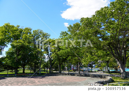 農試公園の交通コーナーあたりの風景 農試公園の交通コーナーあたりの風景 108957536