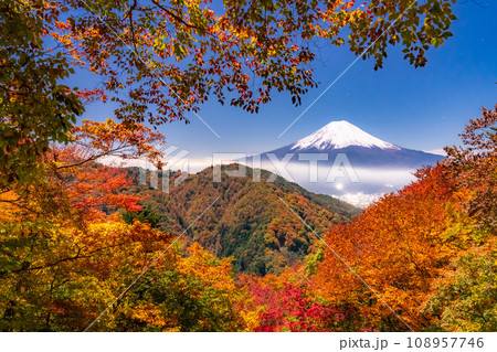 《山梨県》紅葉と富士山・月明かりの夜景 108957746