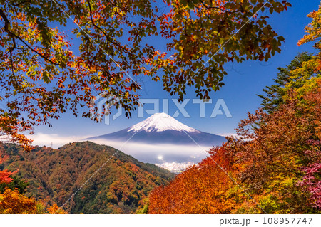 《山梨県》紅葉と富士山・月明かりの夜景 108957747