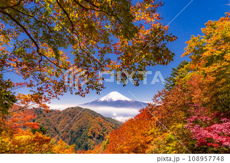 《山梨県》紅葉と富士山・月明かりの夜景 108957748