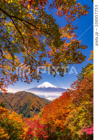 《山梨県》紅葉と富士山・月明かりの夜景 108957753