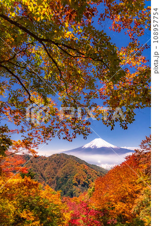 《山梨県》紅葉と富士山・月明かりの夜景 《山梨県》紅葉と富士山・月明かりの夜景 108957754