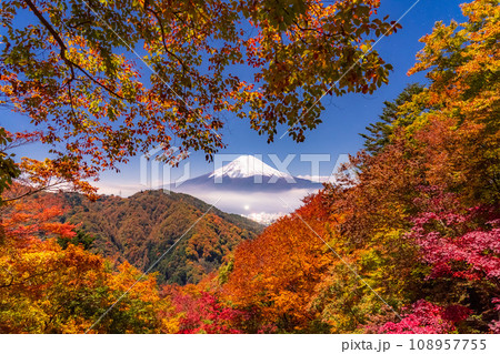 《山梨県》紅葉と富士山・月明かりの夜景 《山梨県》紅葉と富士山・月明かりの夜景 108957755