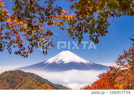 《山梨県》紅葉と富士山・月明かりの夜景 108957756