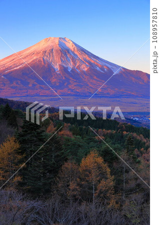 (山梨県)二十曲峠の紅葉、冠雪した富士山 (山梨県)二十曲峠の紅葉、冠雪した富士山 108957810
