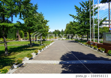 農試公園のツインキャップあたりの風景 農試公園のツインキャップあたりの風景 108958111