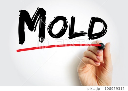 Mold is one of the structures that certain fungi can form, text concept background Mold is one of the structures that certain fungi can form, text concept background 108959313