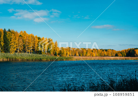 Blue river and golden autumnal forest Blue river and golden autumnal forest 108959851