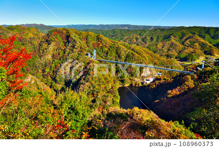茨城県常陸太田市 秋の紅葉に染まる竜神ダムと竜神大吊橋 茨城県常陸太田市 秋の紅葉に染まる竜神ダムと竜神大吊橋 108960373