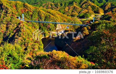茨城県常陸太田市 秋の紅葉に染まる竜神ダムと竜神大吊橋 茨城県常陸太田市 秋の紅葉に染まる竜神ダムと竜神大吊橋 108960376