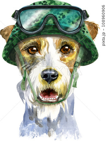 Watercolor portrait of airedale terrier dog in military tactical helmet Watercolor portrait of airedale terrier dog in military tactical helmet 108960906