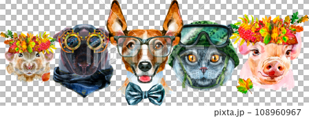 Border from watercolor portraits of dog, guinea pig, cat, mini pig, and rat Border from watercolor portraits of dog, guinea pig, cat, mini pig, and rat 108960967