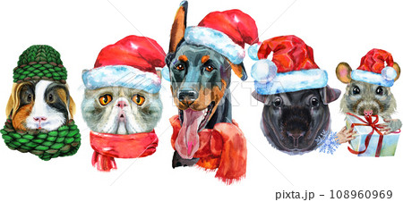 Border from watercolor portraits of dog, guinea pig, cat, mini pig, and rat Border from watercolor portraits of dog, guinea pig, cat, mini pig, and rat 108960969