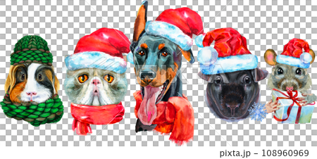 Border from watercolor portraits of dog, guinea pig, cat, mini pig, and rat Border from watercolor portraits of dog, guinea pig, cat, mini pig, and rat 108960969