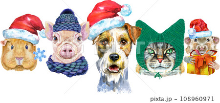 Border from watercolor portraits of dog, guinea pig, cat, mini pig, and rat Border from watercolor portraits of dog, guinea pig, cat, mini pig, and rat 108960971