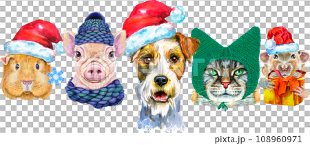 Border from watercolor portraits of dog, guinea pig, cat, mini pig, and rat 108960971