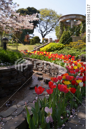 港の見える丘公園、花、4月、春、チューリップ、ピンク、桜、赤、黄色、白、横浜、風景、日本、神奈川、空 108961117