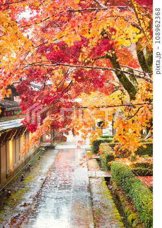 滋賀永源寺の紅葉 滋賀永源寺の紅葉 108962368