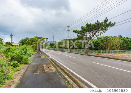 石垣島の風景　国道390号 108962680