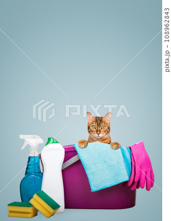 Cleaning products and tools for home cleaning. 108962843