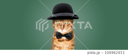 The cat is wearing a hat and a bow tie. 108962851