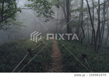 霧の大台ヶ原 霧の大台ヶ原 108962870