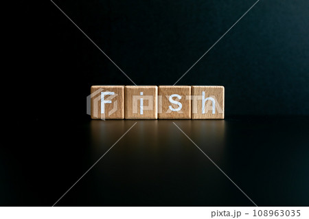 Wooden blocks form the text "Fish" against a black background. 108963035