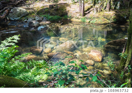Pincho river near Viana do Castelo, Northern Portugal. View of the flowing water and beautiful lagoon, in the woods Pincho river near Viana do Castelo, Northern Portugal. View of the flowing water and beautiful lagoon, in the woods 108963732