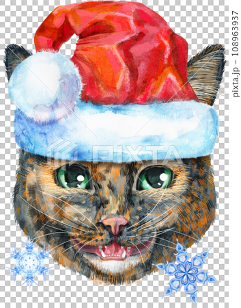 Lovely closeup portrait of Short-haired tortoiseshell cat in Santa hat. Hand drawn watercolor painting on white background Lovely closeup portrait of Short-haired tortoiseshell cat in Santa hat. Hand drawn watercolor painting on white background 108963937