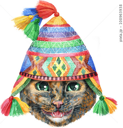 Lovely closeup portrait in pastel colors of Short-haired tortoiseshell cat in Peruvian National Chulo hat. Hand drawn watercolor painting on white background 108963938