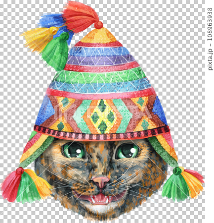 Lovely closeup portrait in pastel colors of Short-haired tortoiseshell cat in Peruvian National Chulo hat. Hand drawn watercolor painting on white background 108963938