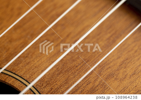 guitar string vibrating close-up, small depth of field 108964238
