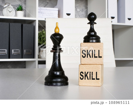 Searching for talent and evaluating employees. Chess pieces and cubes with skills sign. 108965111