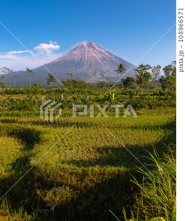 Semeru mountian in the beautiful morning 108966571