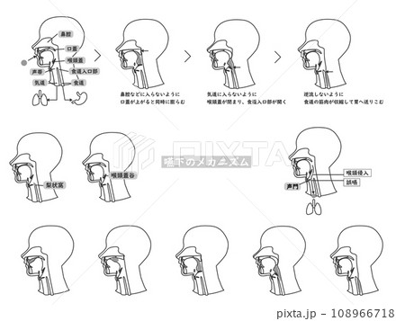 嚥下のしくみを断面図で解説したモノクロ線画イラストセット 嚥下のしくみを断面図で解説したモノクロ線画イラストセット 108966718